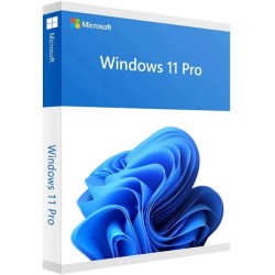 Microsoft Windows 11 Pro